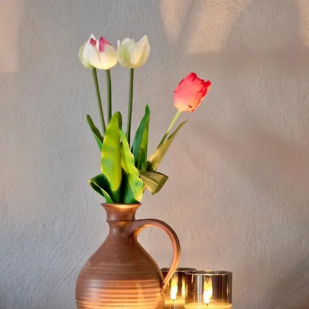 公寓 Sonnblick, Kaprun, Salzburg - Am Kitzsteinhorn Gletscher *