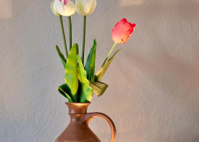 Apartament Sonnblick, Kaprun, Salzburg - Am Kitzsteinhorn Gletscher *